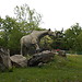 Zoo Safari in Italy? Yes, please!
