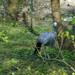 zoologico