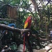 Zoológico Guadalajara.