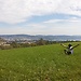 Zurich