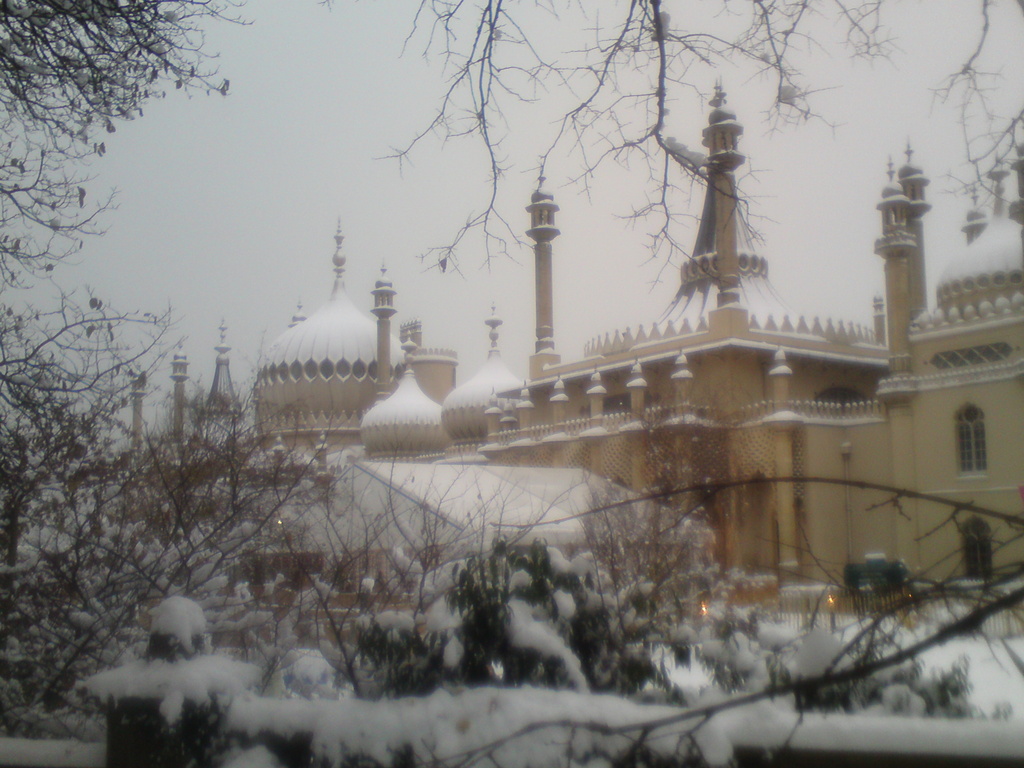 Zdjęcie bez tytułu