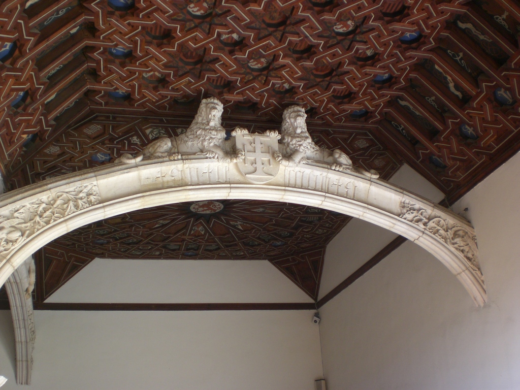 Zdjęcie bez tytułu