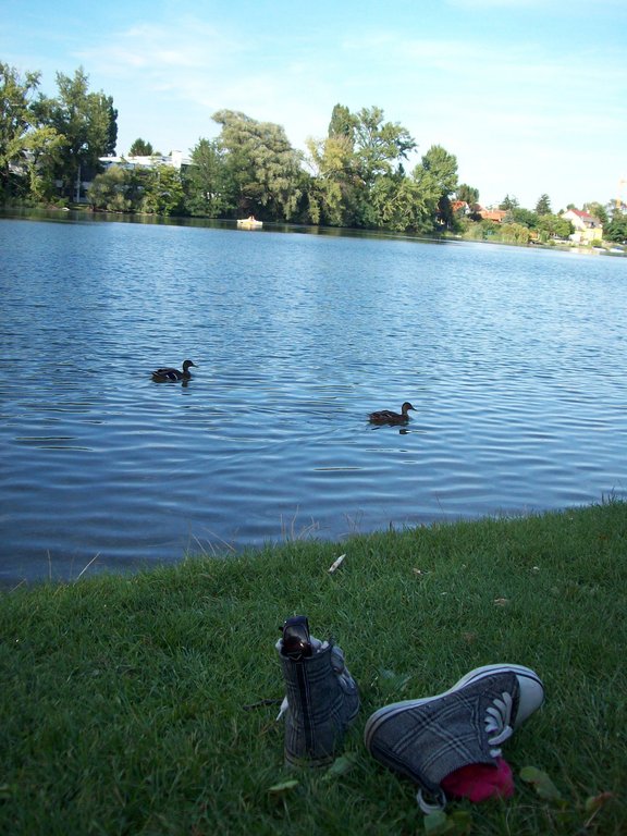 Parque al lado de la sede de la ONU