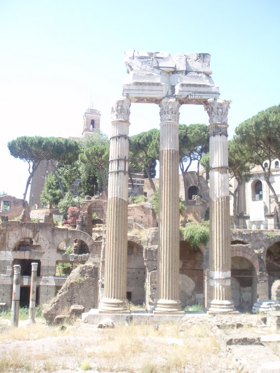 Zdjęcie bez tytułu