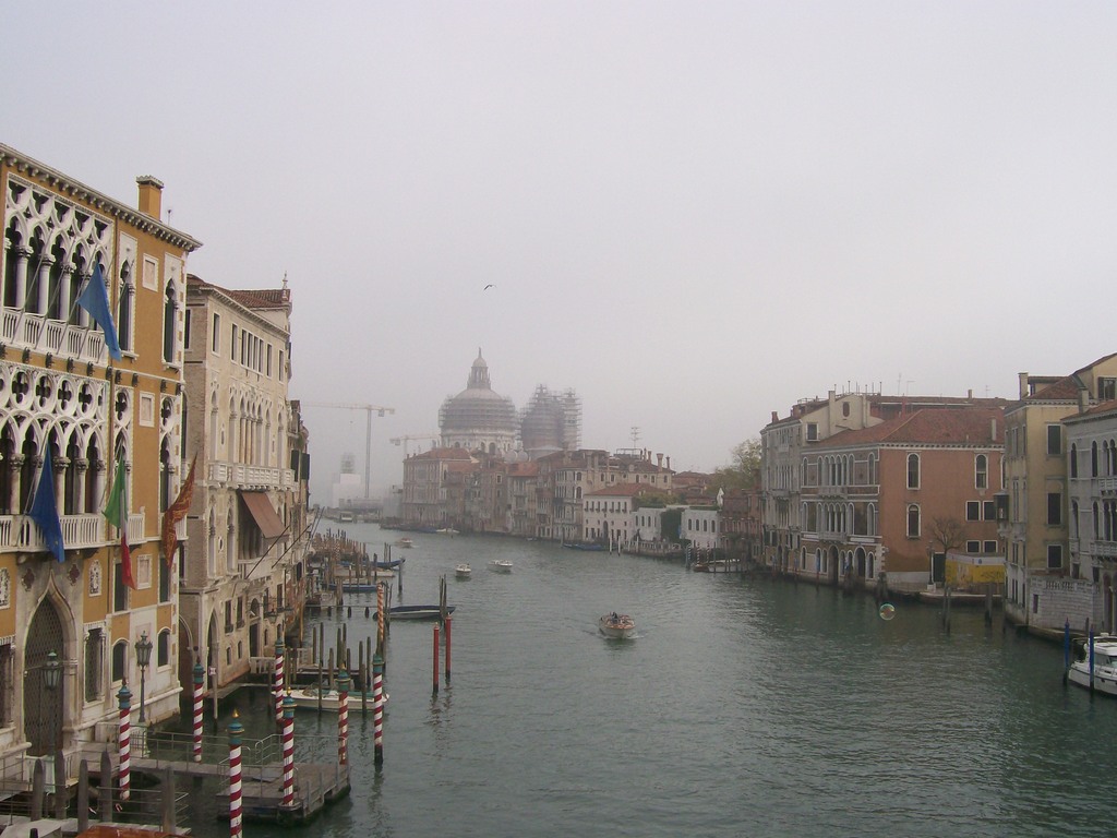 Zdjęcie bez tytułu