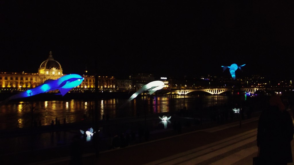 081212-an-illuminated-weekend-lyon-fete-