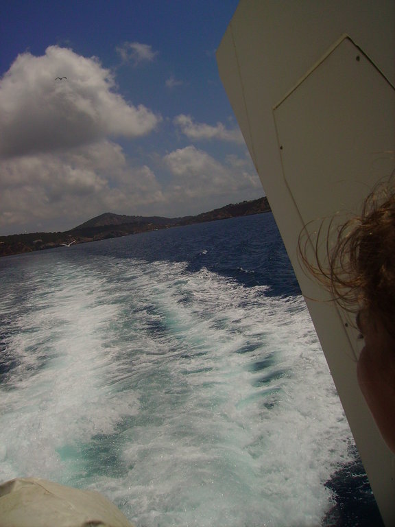 Zdjęcie bez tytułu