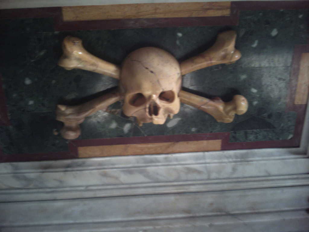 Zdjęcie bez tytułu