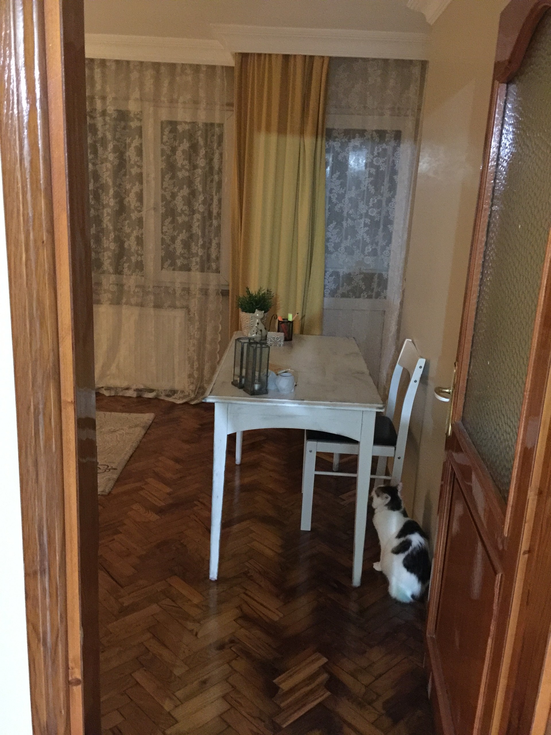 Beşiktaş ev arkadaşı Istanbul Erasmus partisi.