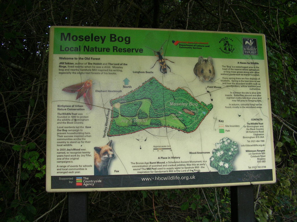 Nature Reserve - Moseley