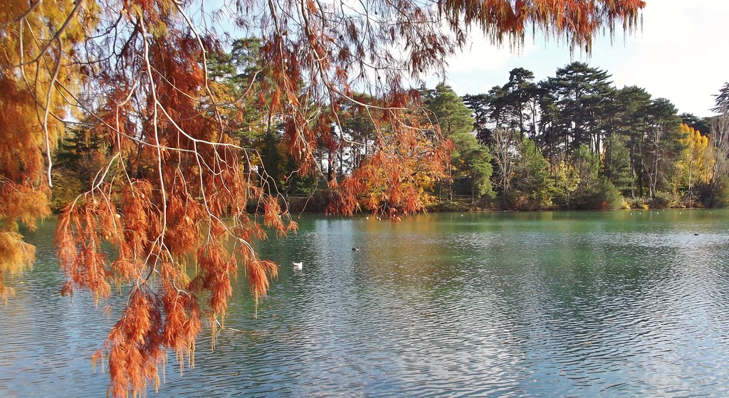 121112-fifty-shades-autumn-parc-la-tete-