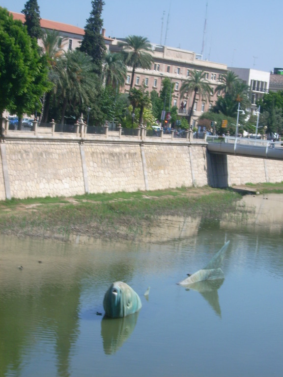 Zdjęcie bez tytułu