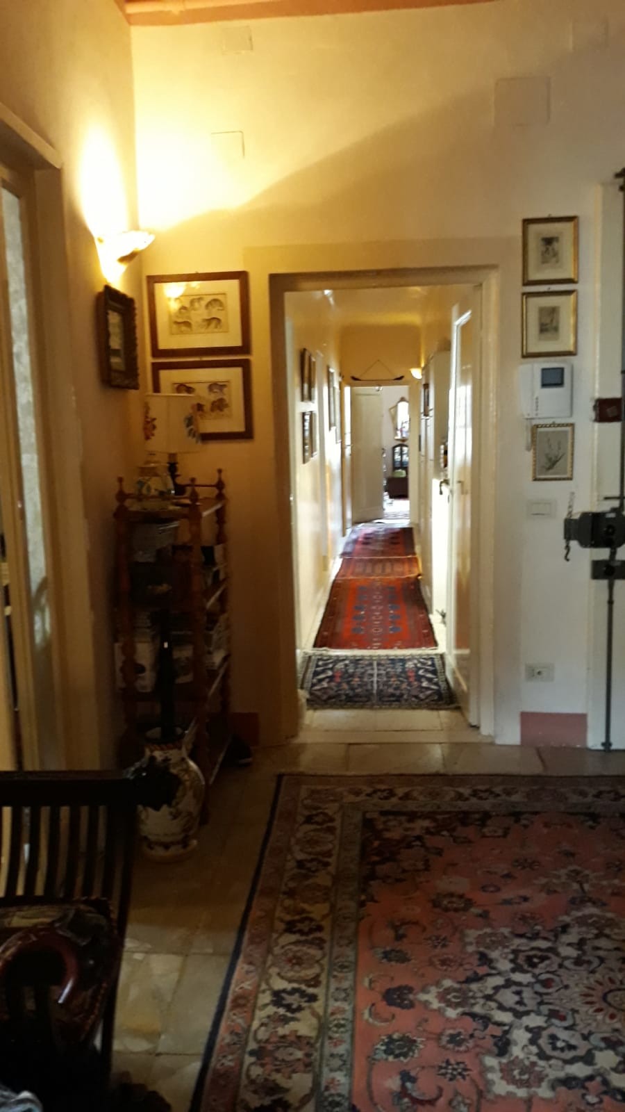 Habitación libre en Florencia en un maravilloso piso de 3 habitaciones