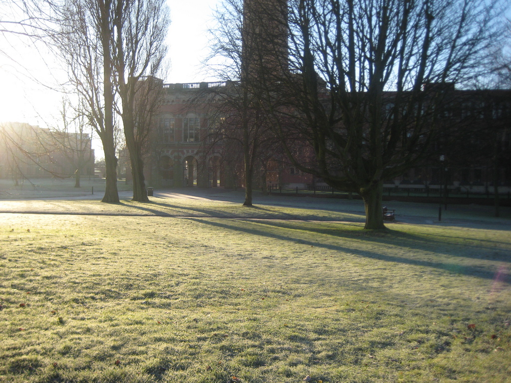 November and its frost