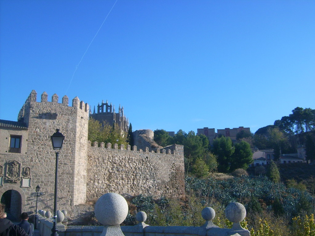 Zdjęcie bez tytułu