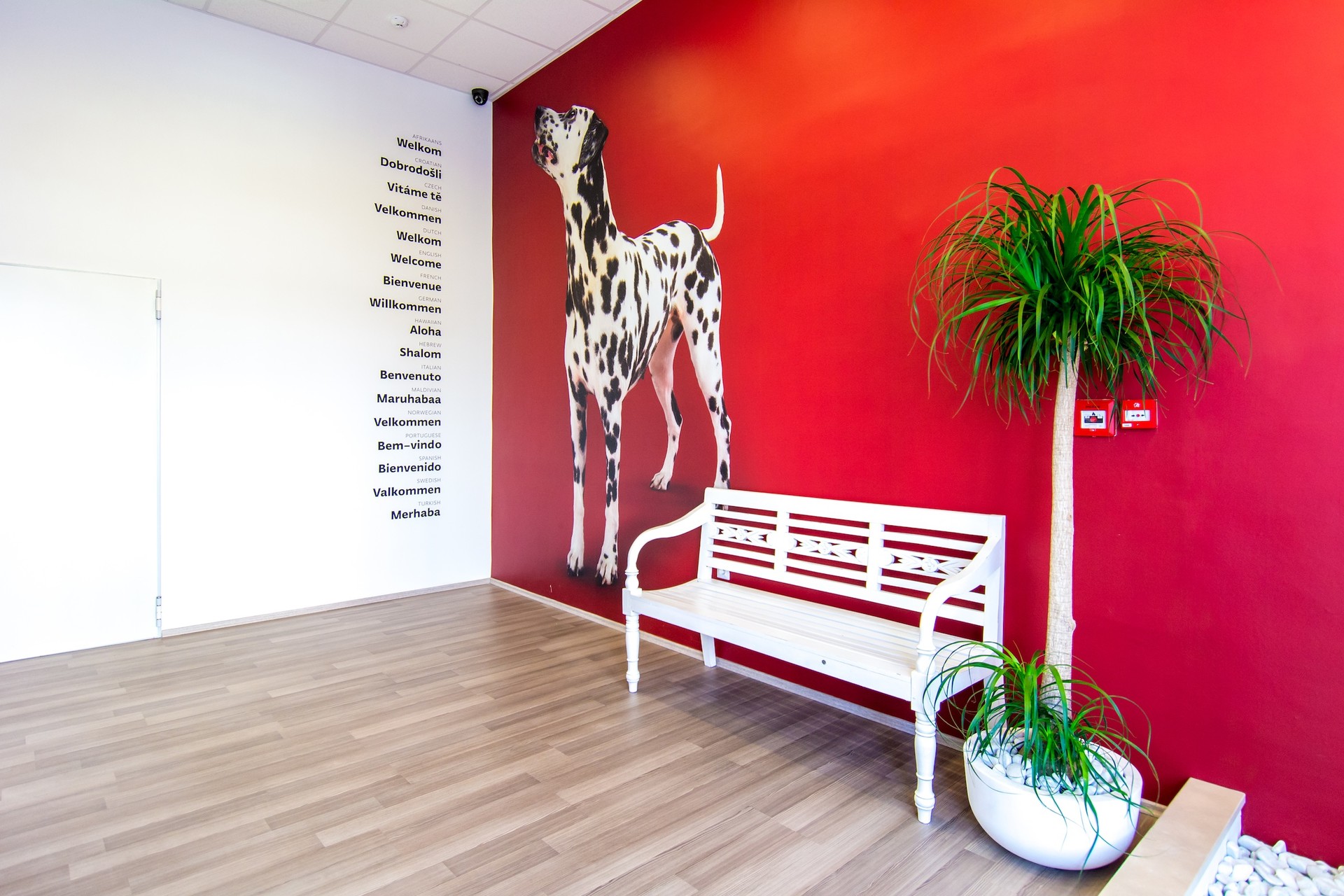 Bed in 6-Bed Dormitory Room in SPLIT (Ensuite bathroom) | University