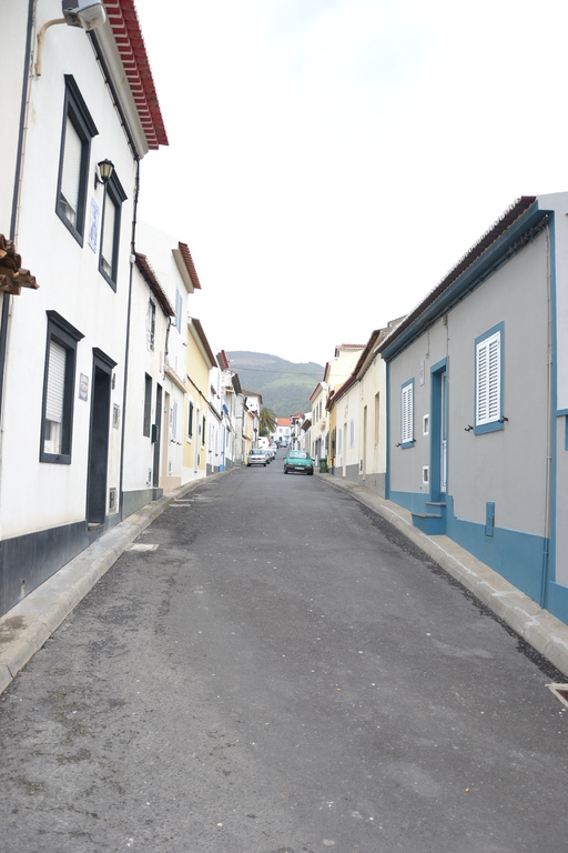 Zdjęcie bez tytułu