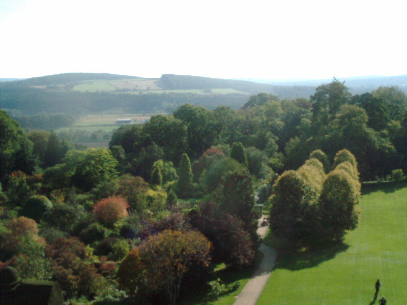 Zdjęcie bez tytułu