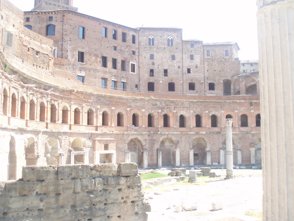 Zdjęcie bez tytułu