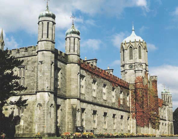 Zdjęcie bez tytułu