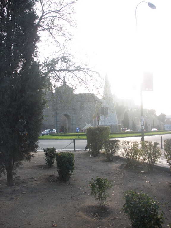 Zdjęcie bez tytułu