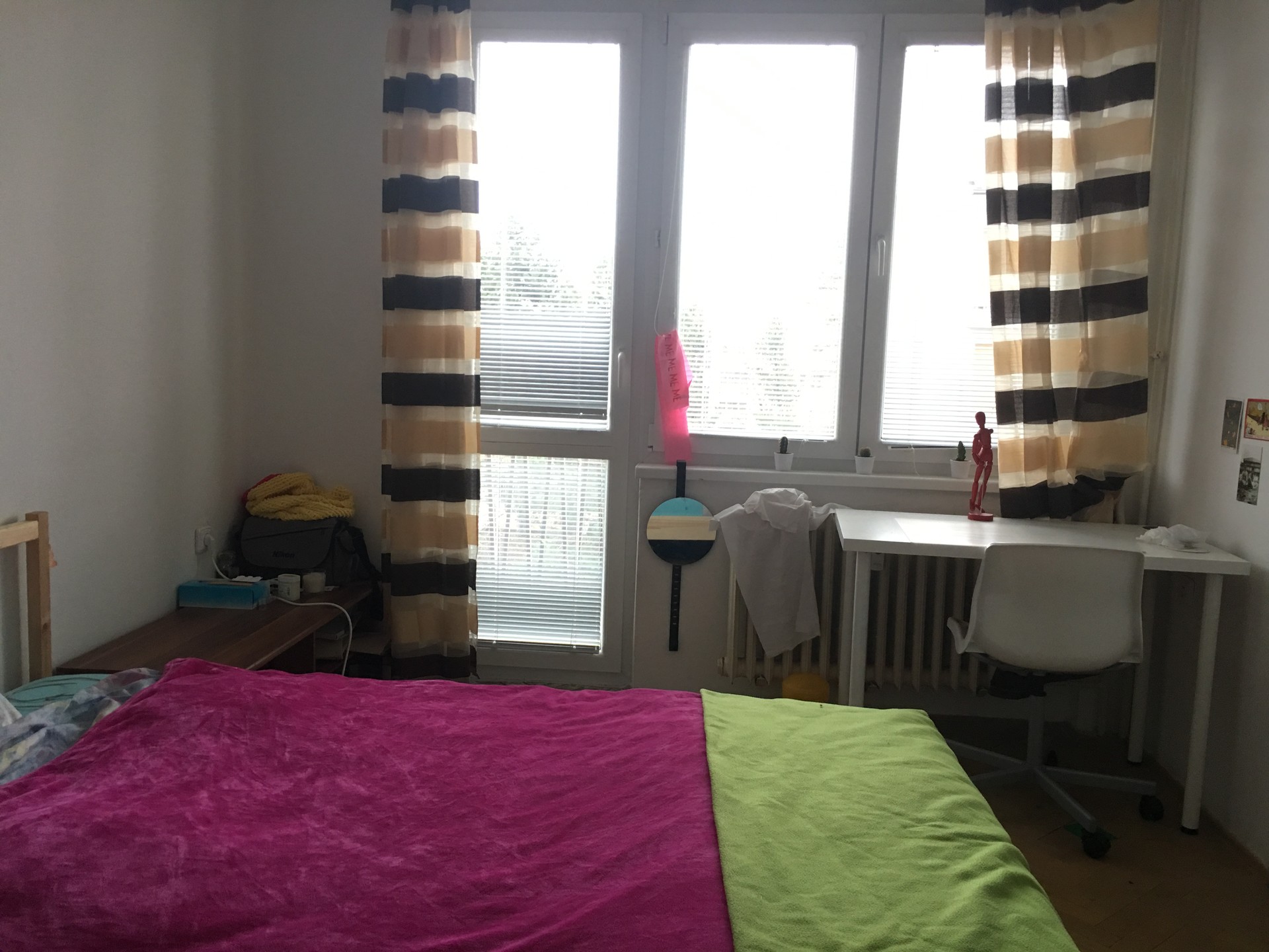 2 Bedroom Flat in Dejvicka/Prague Flat rent Prague