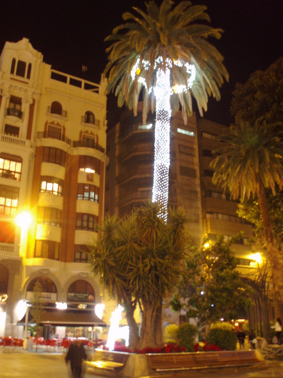 Zdjęcie bez tytułu