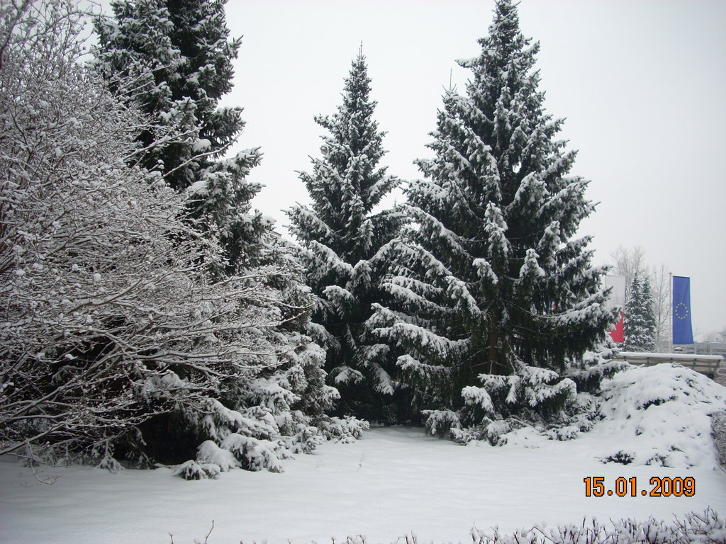 Más nieve en la Facultad de Educación