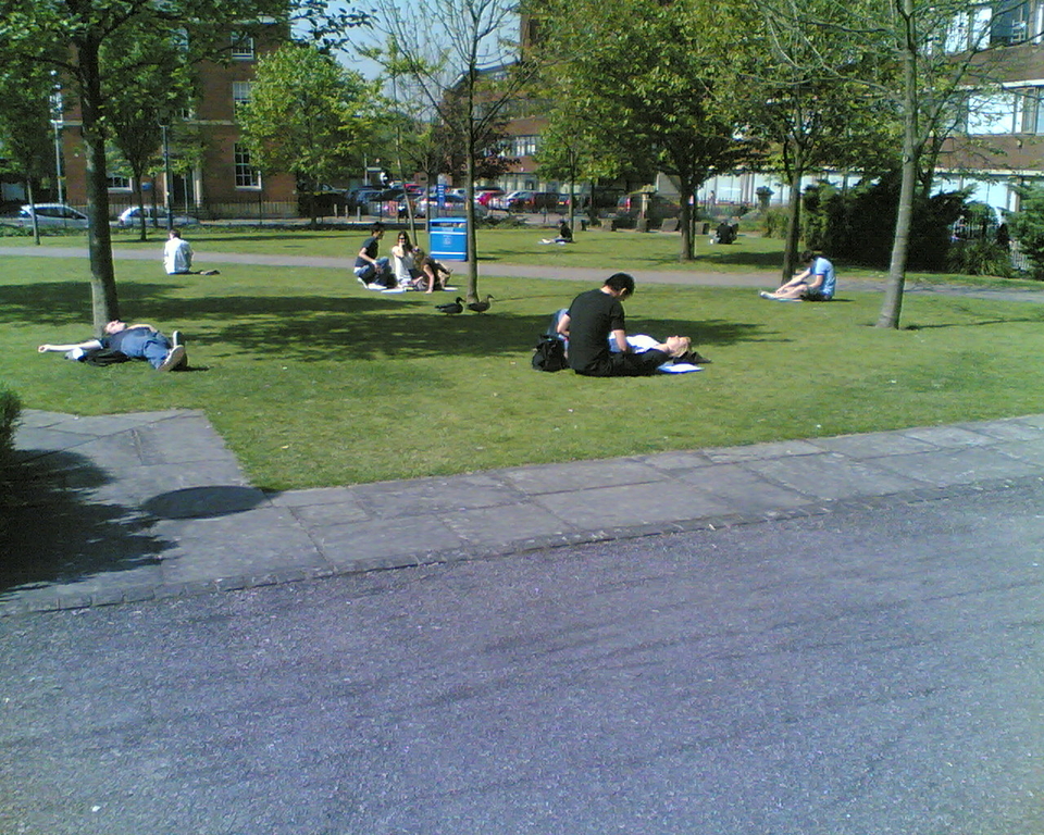 Untitled photo