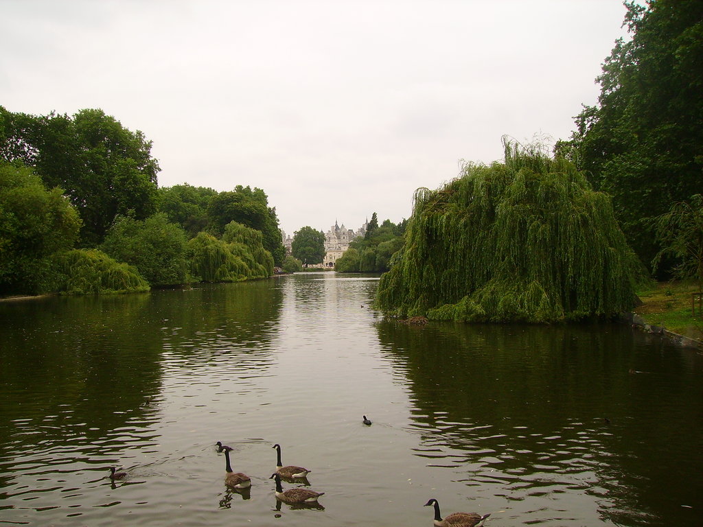 Zdjęcie bez tytułu