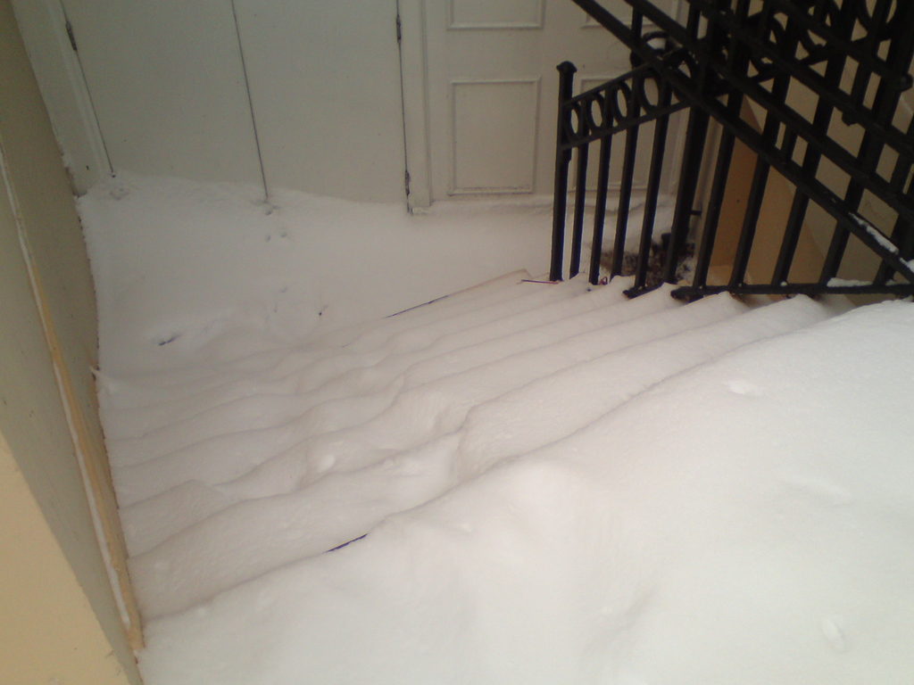 Zdjęcie bez tytułu