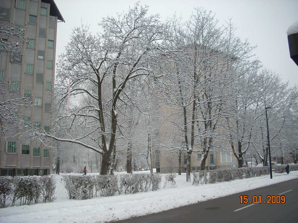 Nieve en Rozna Dolina