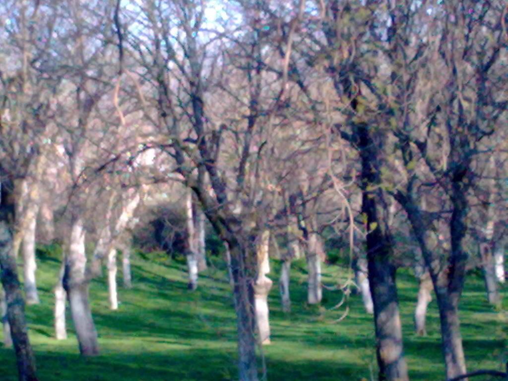 UNO DE LOS MUCHOS PARQUES QUE TIENE GUADALAJARA