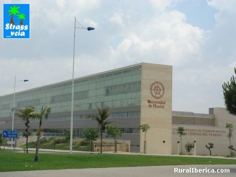 Zdjęcie bez tytułu