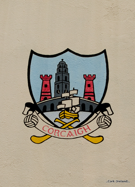 Zdjęcie bez tytułu