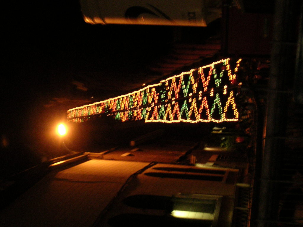 Zdjęcie bez tytułu