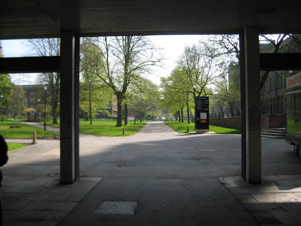 Arriving at the library