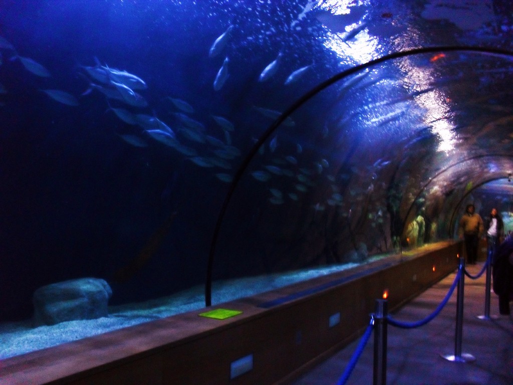 Oceanográfico - Ciudad de las Artes y las Ciencias