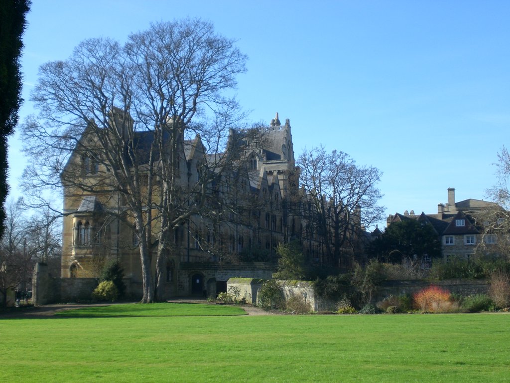 Zdjęcie bez tytułu