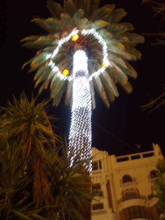 Zdjęcie bez tytułu