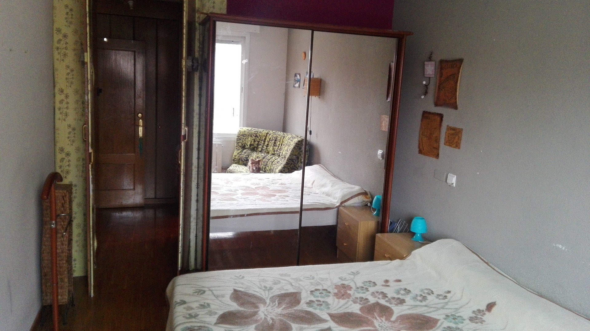 Large and comfortable room with lots of light and 