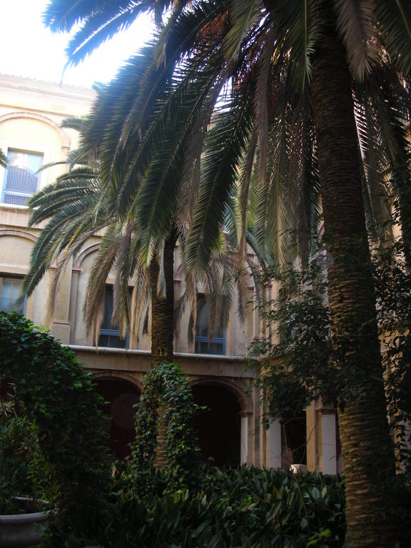 museo de las bellas artes