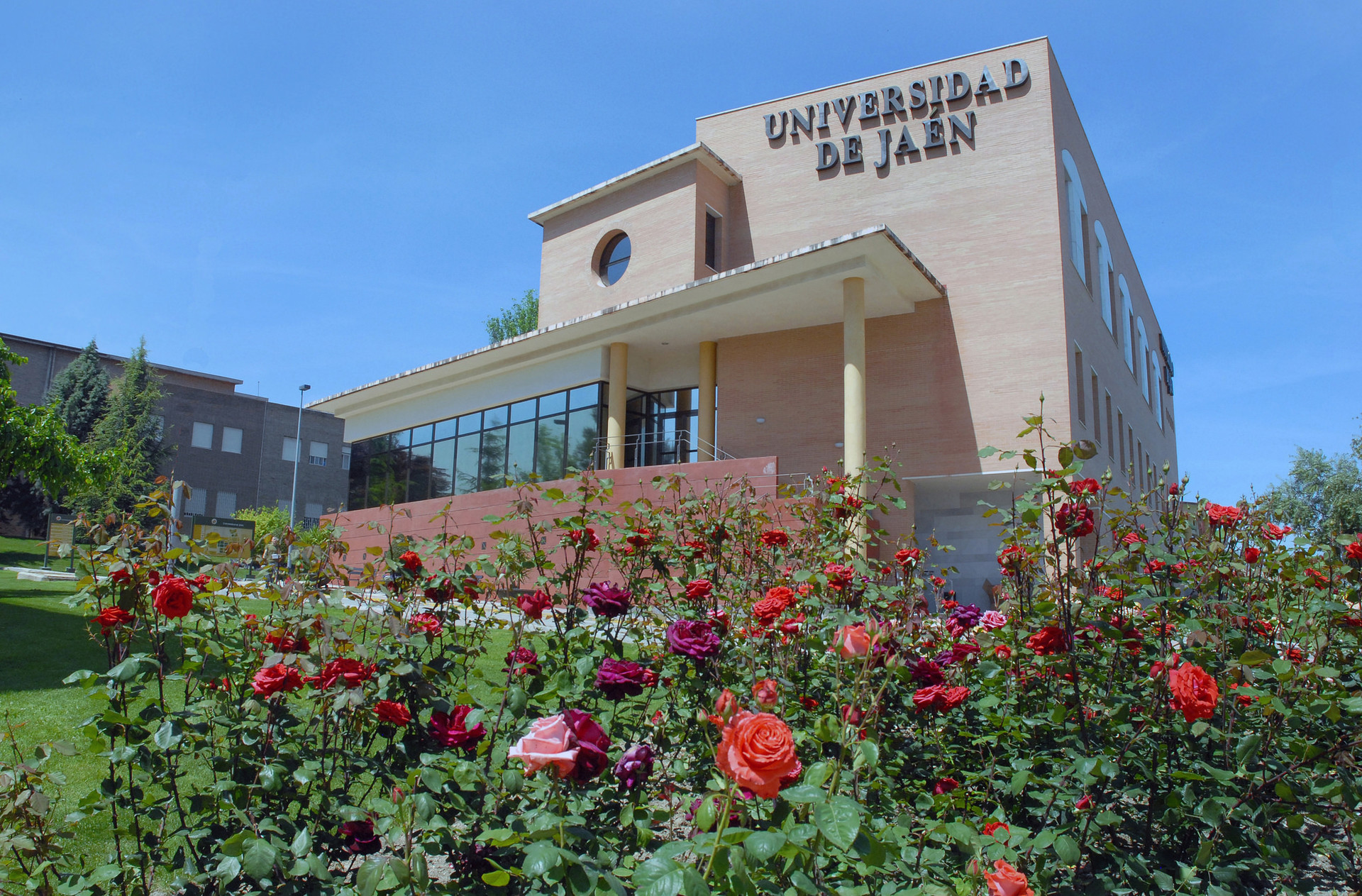 4 anni alla UJA (Universidad de Jaén)
