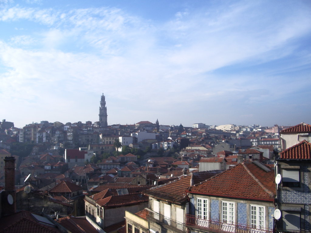 Vistas de Oporto desde la catedral