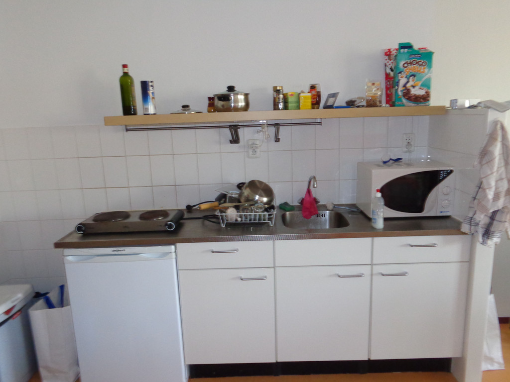 40m2 studio in amsterdam science park all furnished | Rent studios ...