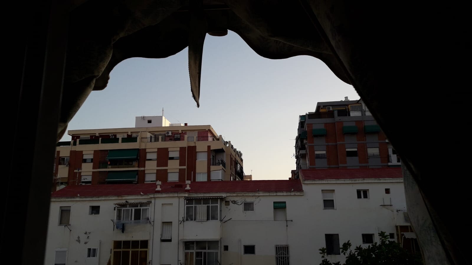 Soleada habitación amplia, cómoda y convivencia muy seleccionada y