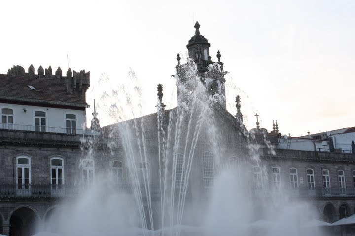 Zdjęcie bez tytułu