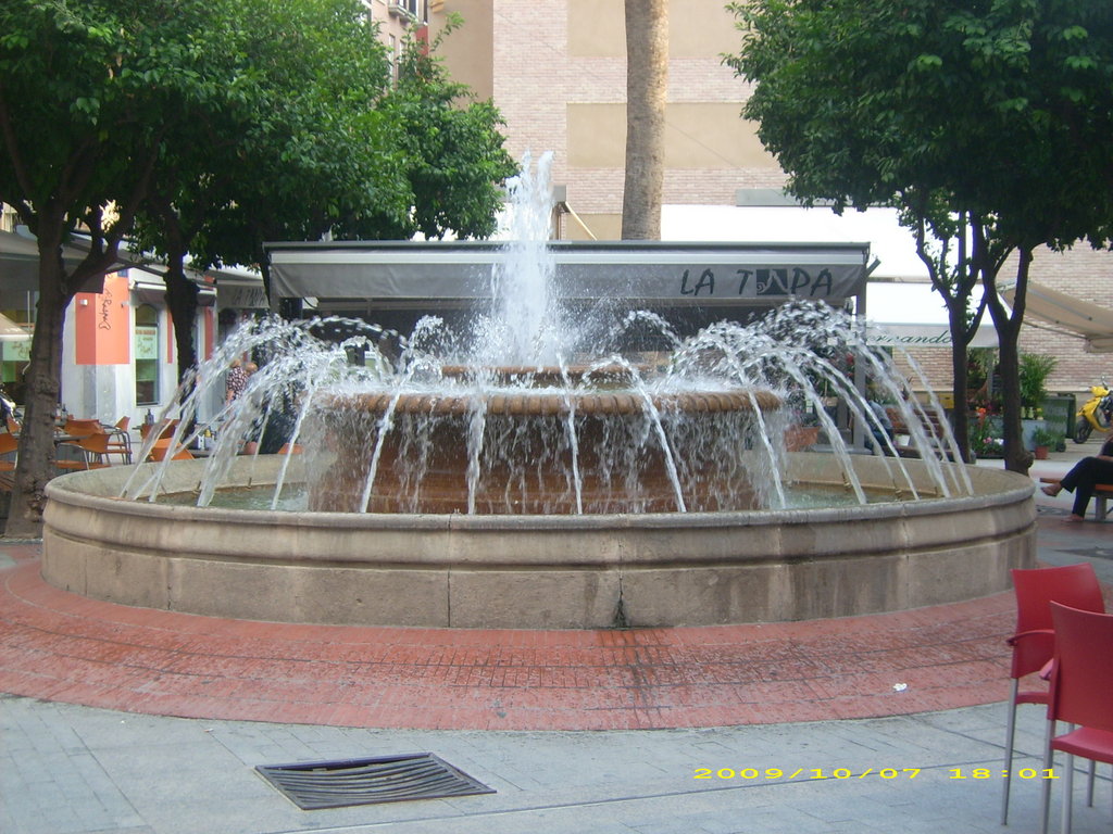 Plaza las flores