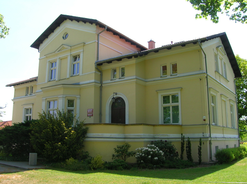 Zdjęcie bez tytułu