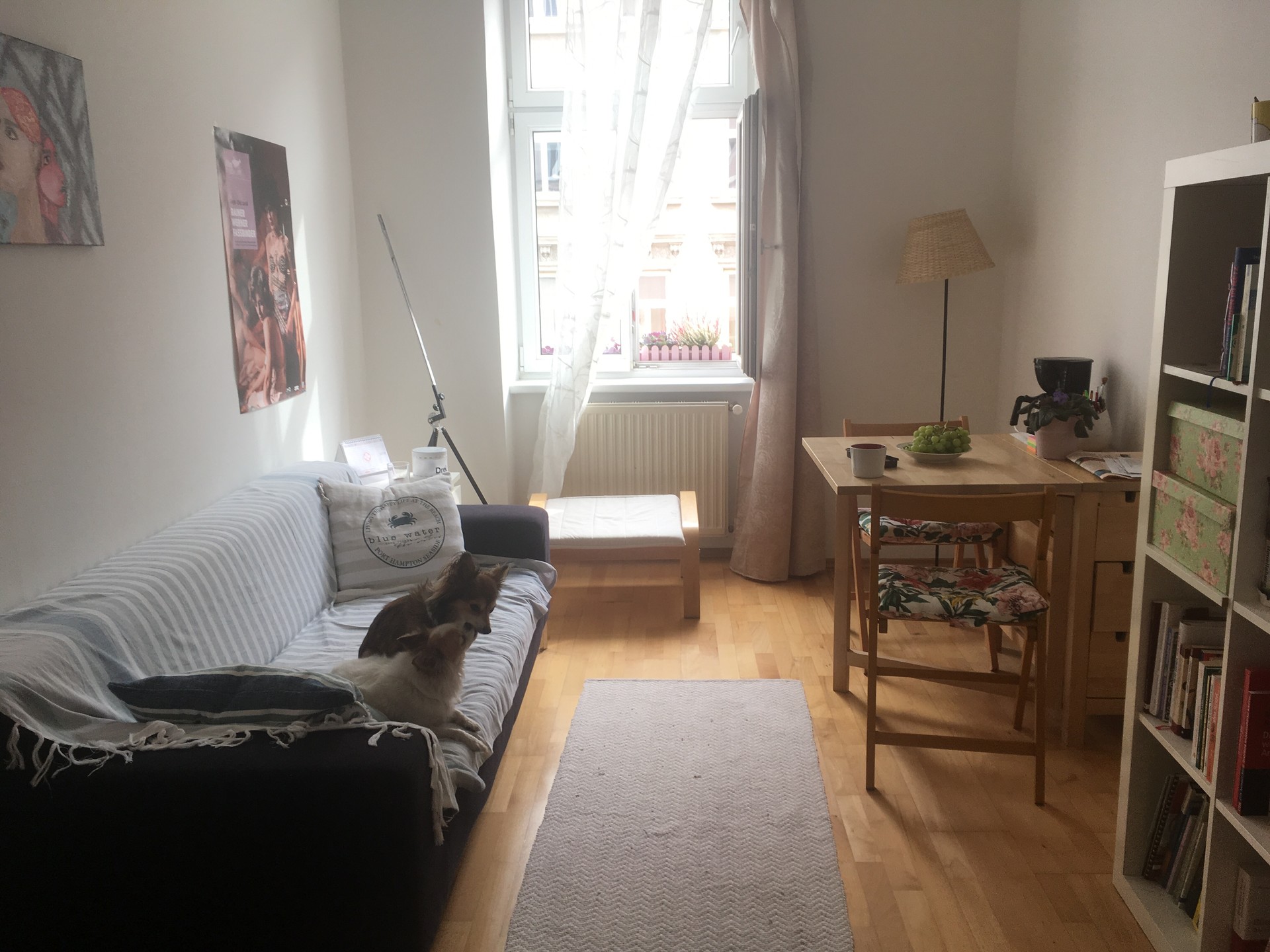 Cosy flat in Vienna from February Flat rent Vienna